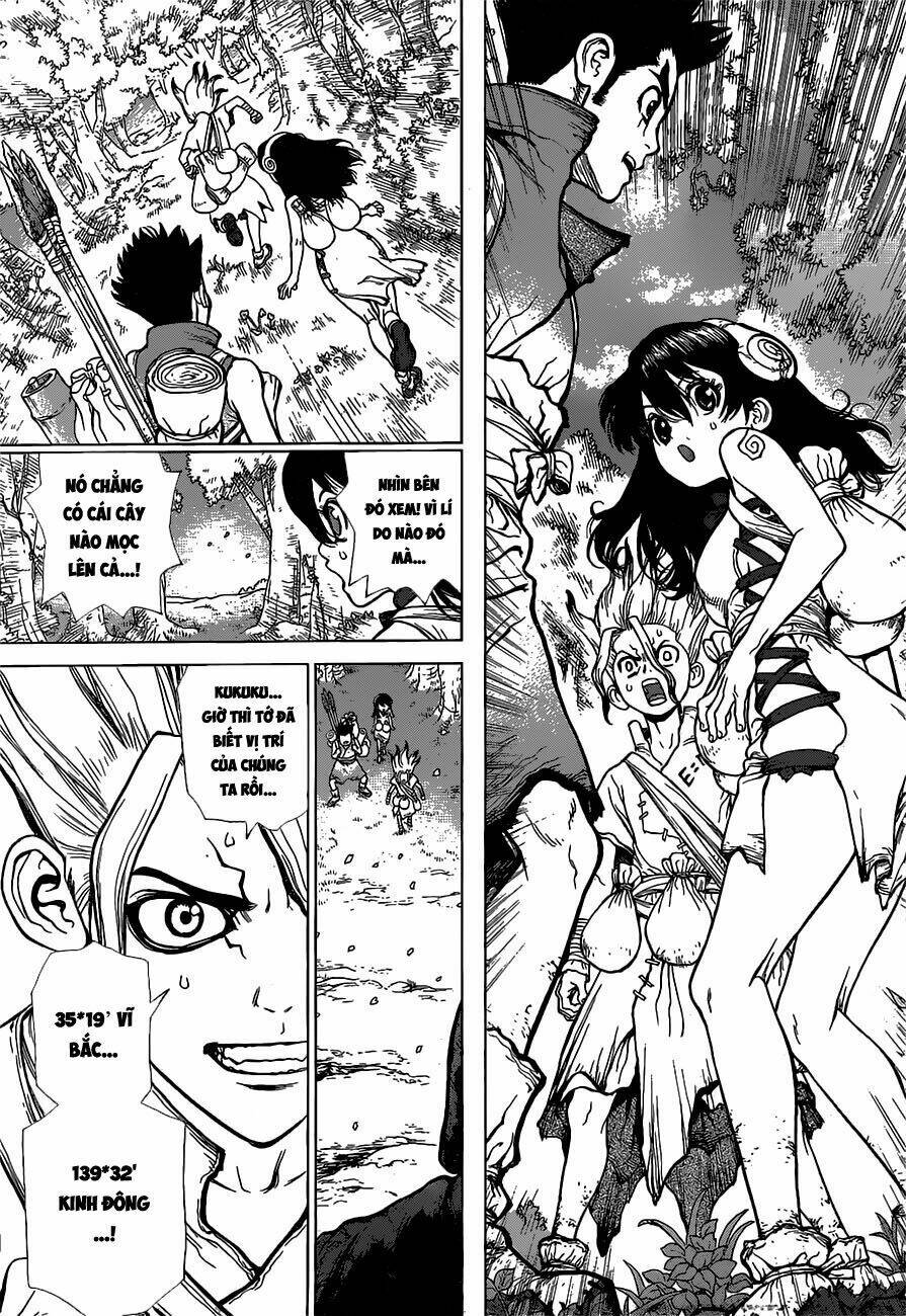 dr-stone-hoi-sinh-the-gioi/3