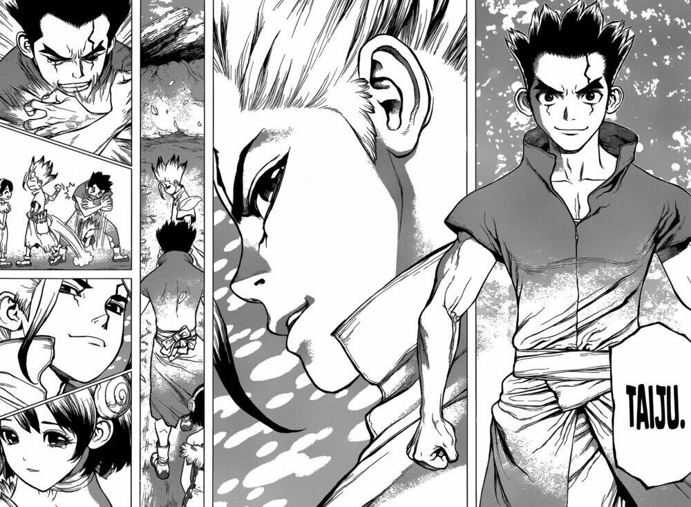 dr-stone-hoi-sinh-the-gioi/12