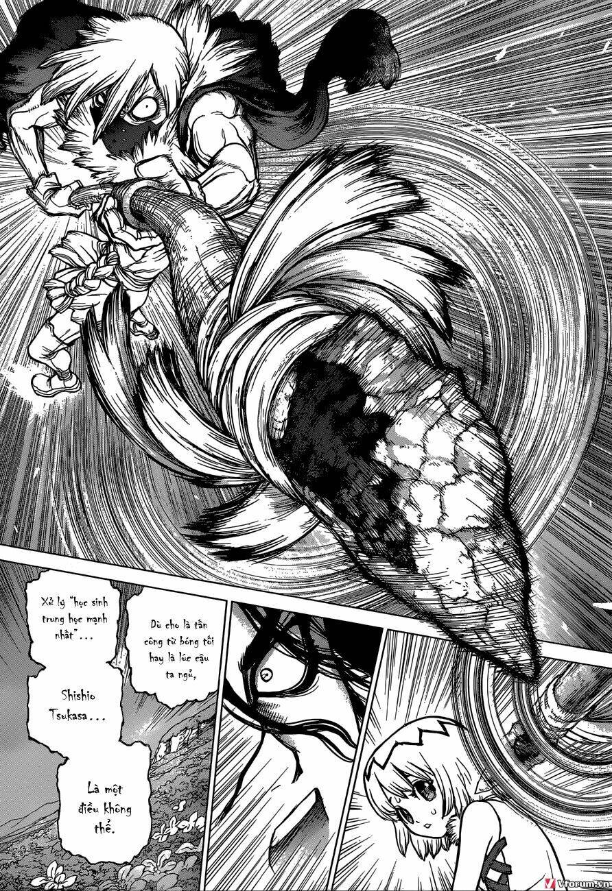 dr-stone-hoi-sinh-the-gioi/15