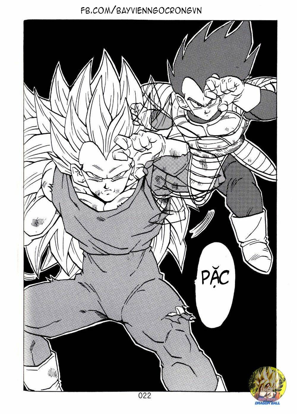 dragon-ball-after/20