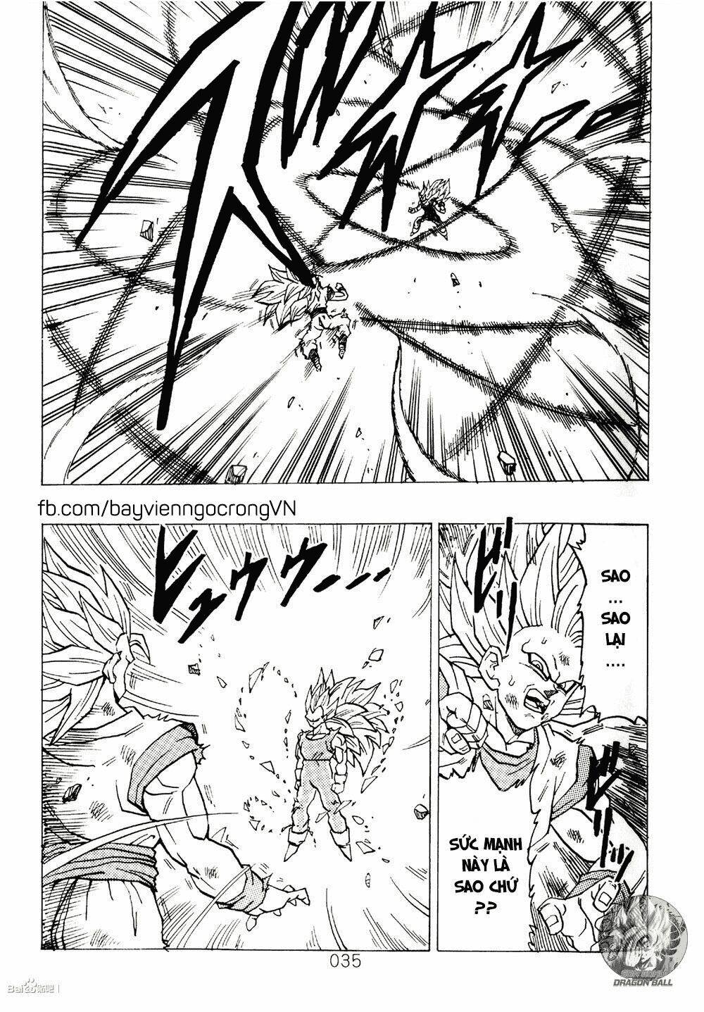 dragon-ball-after/13