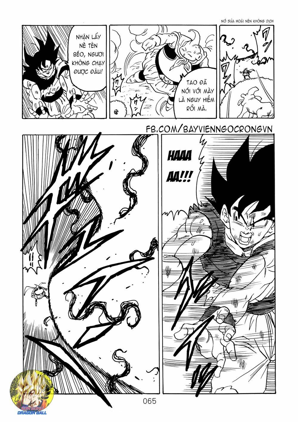 dragon-ball-after/22