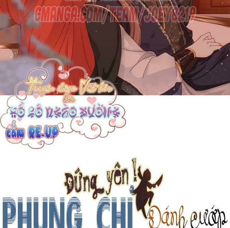 dung-lai-phung-chi-an-cuop/1