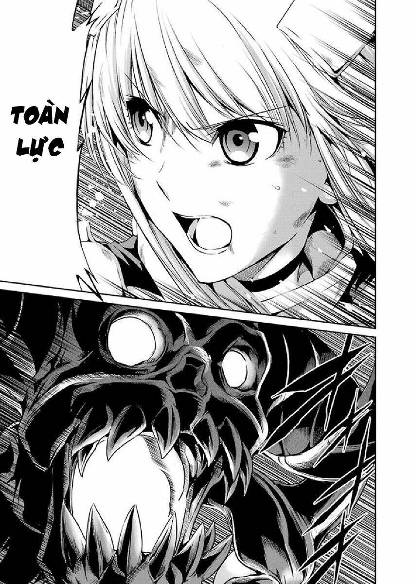 dungeon-ni-deai-wo-motomeru-no-wa-machigatte-iru-darou-ka-gaiden-sword-oratoria/19