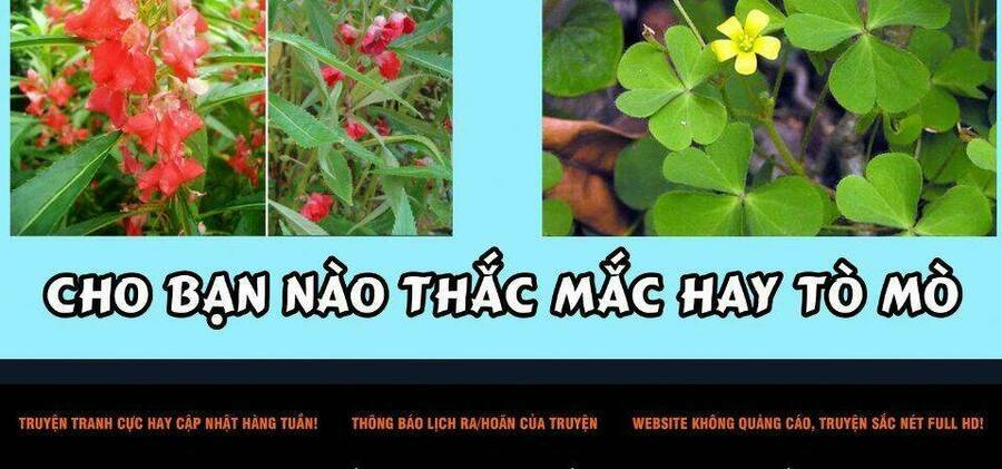 duoc-su-tu-su-nhat-ky-giai-ma-bi-an-chon-hau-cung-cua-maomao/58