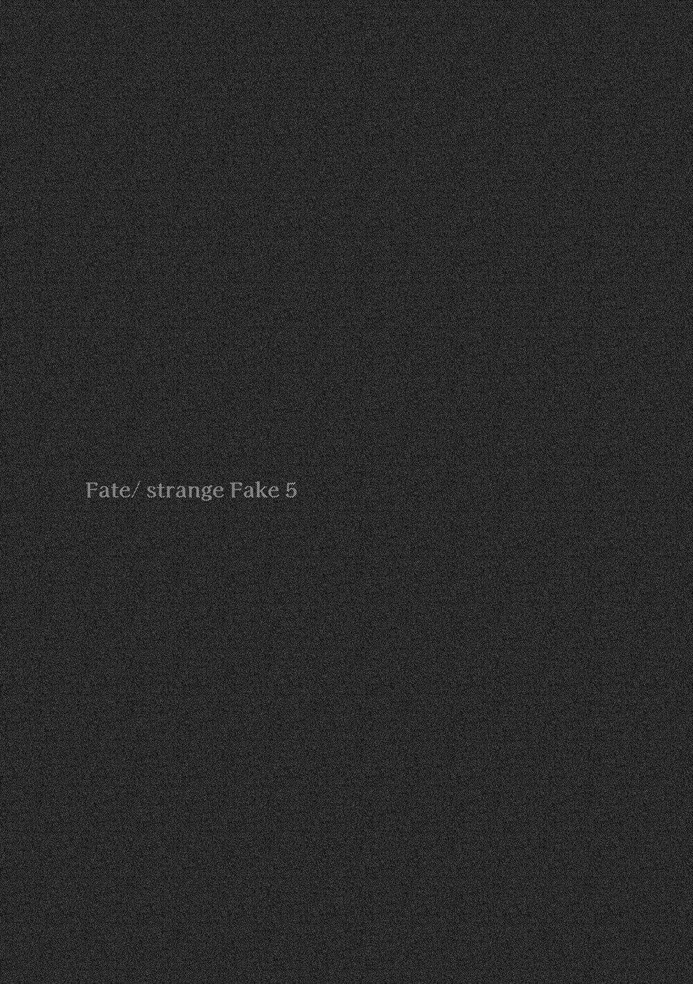 fate-strange-fake/4