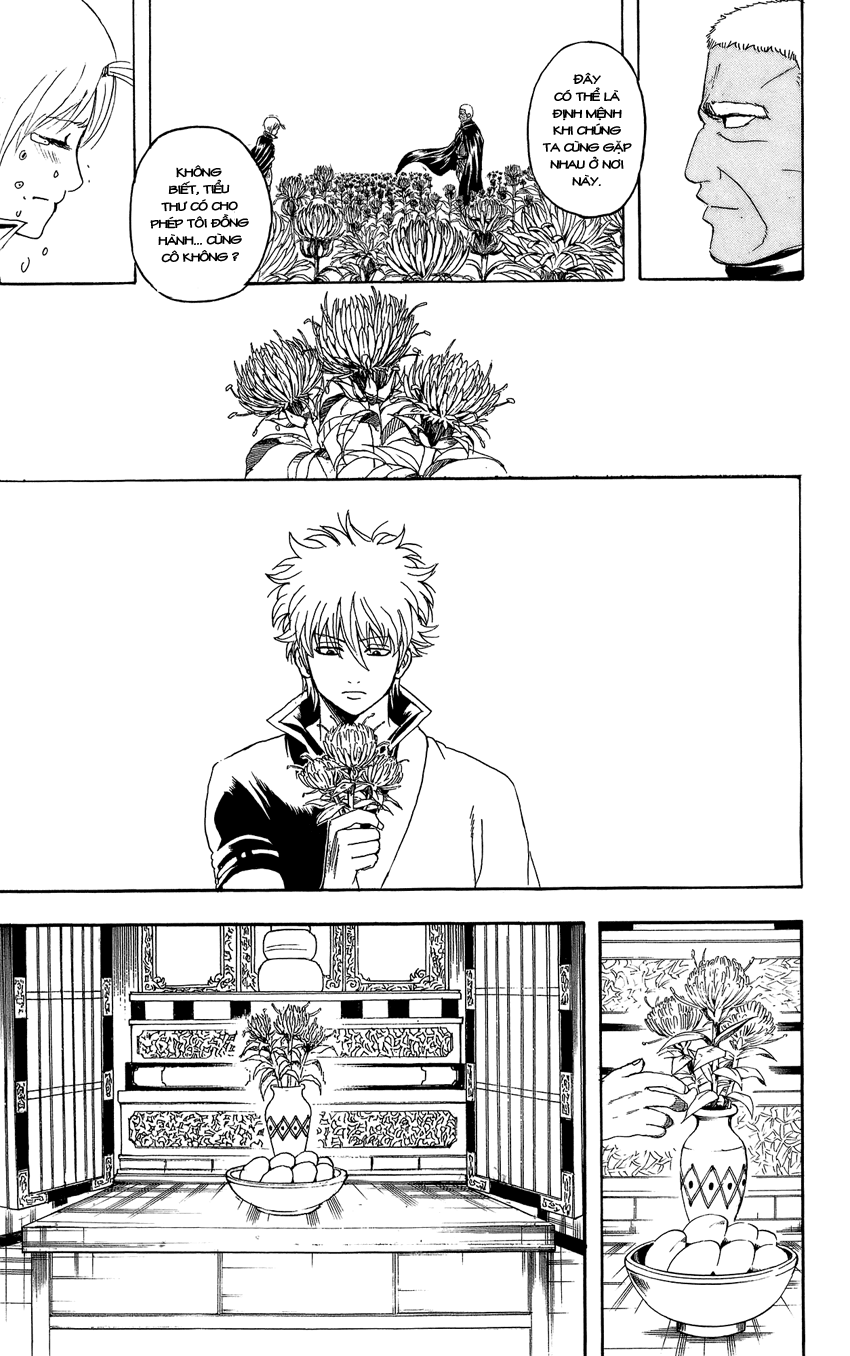 gintama/23