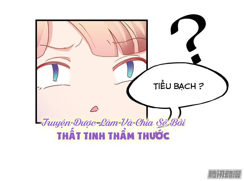 giu-chat-tieu-bach-long/31