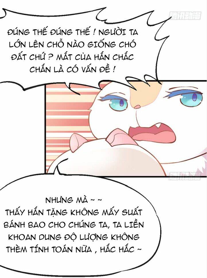 giu-chat-tieu-bach-long/26