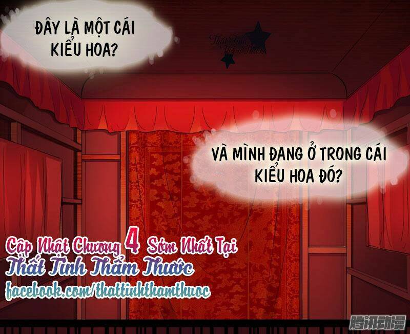 giu-chat-tieu-bach-long/28