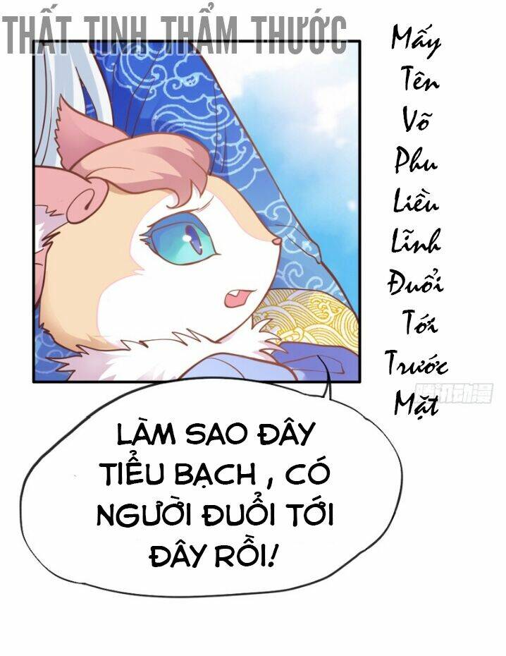 giu-chat-tieu-bach-long/16