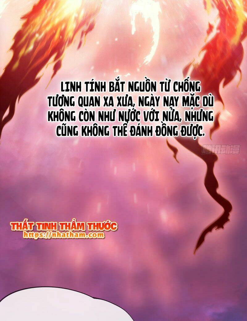 giu-chat-tieu-bach-long/10