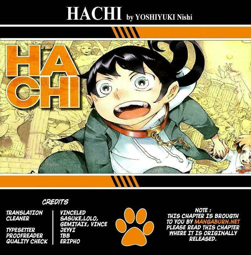 hachi/32