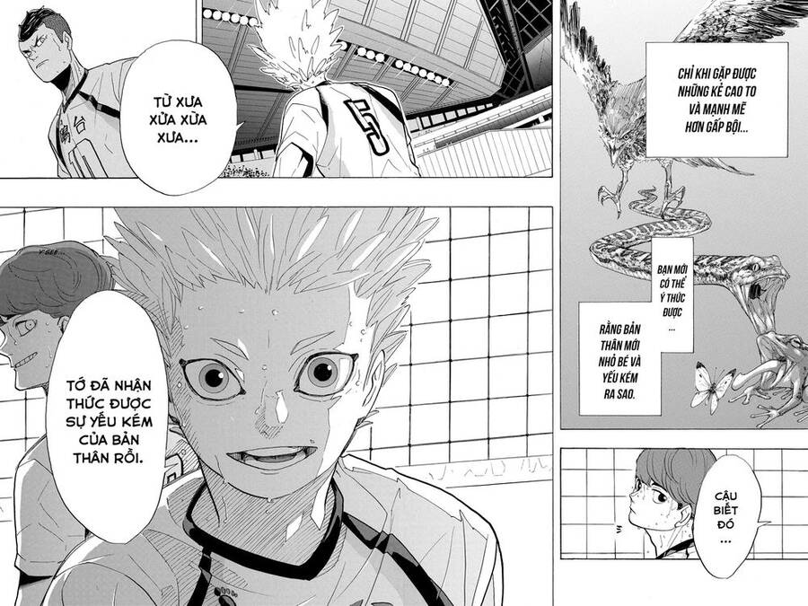 haikyuu/19