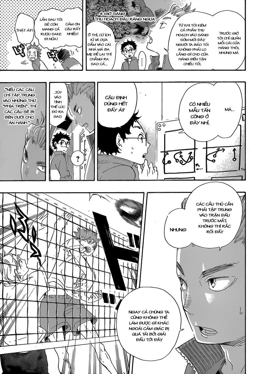 haikyuu/11