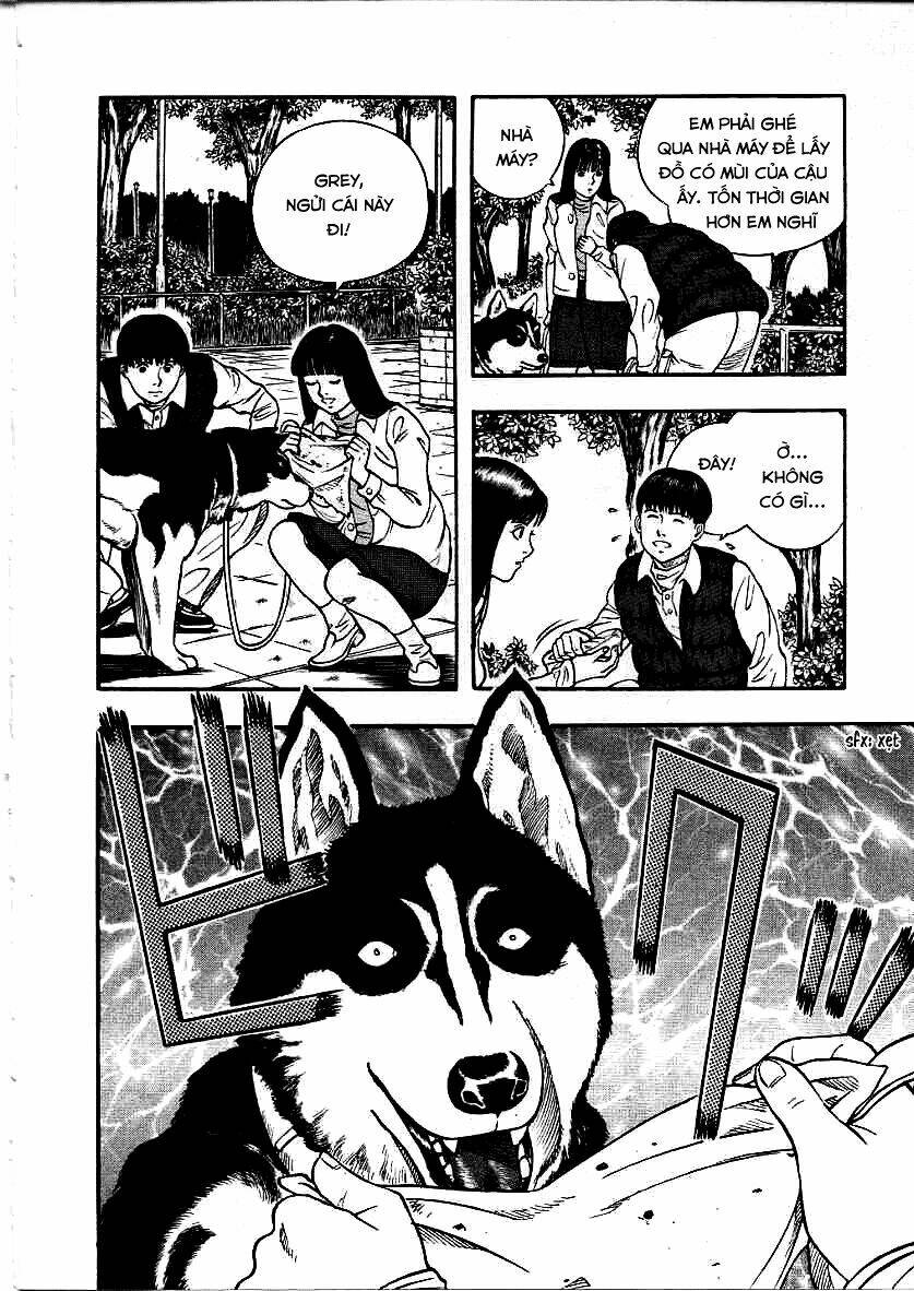 inugami/29