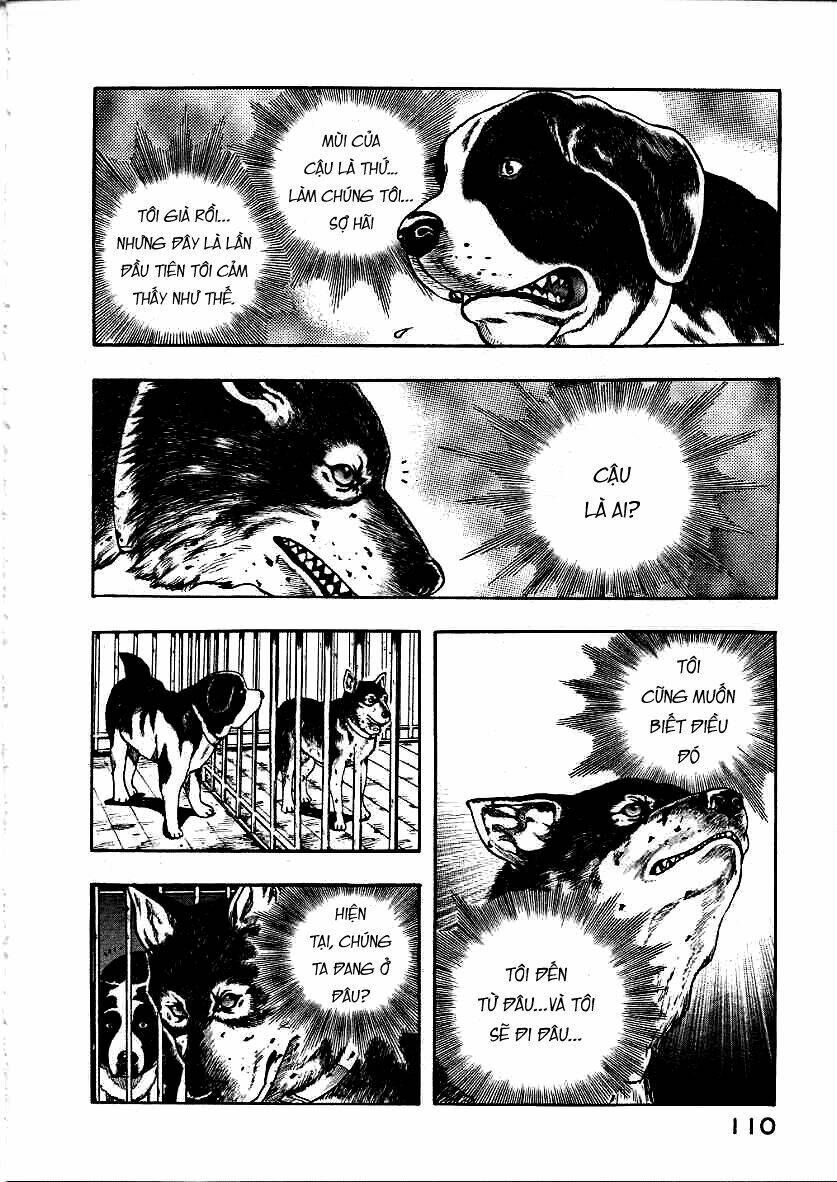 inugami/27