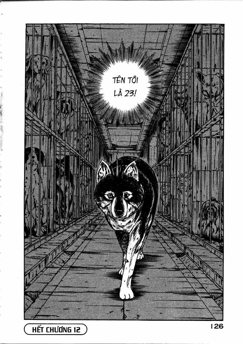 inugami/43