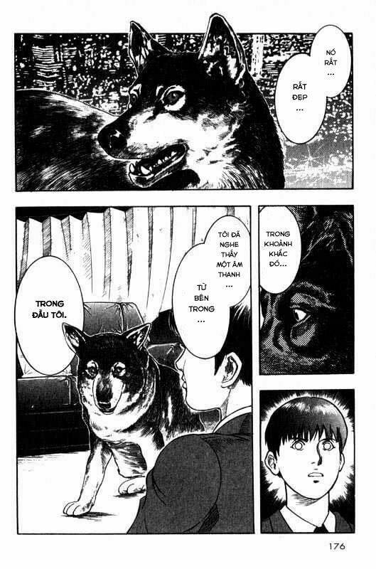 inugami/35