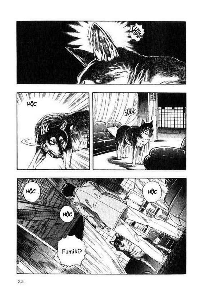 inugami/34