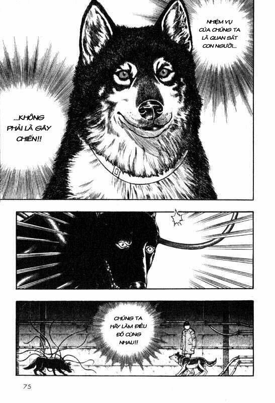 inugami/35