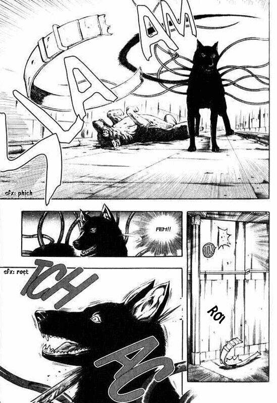 inugami/21