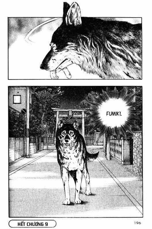 inugami/35