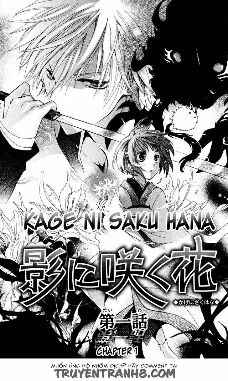 kage-ni-saku-hana/4