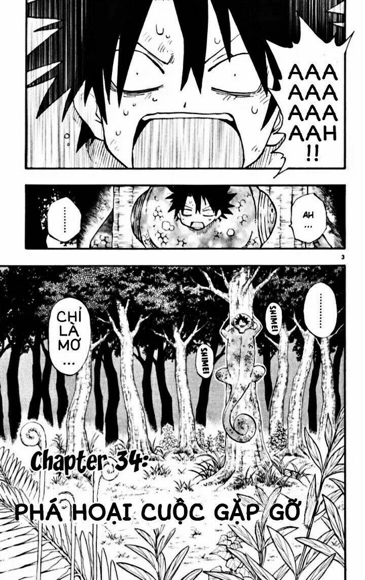 law-of-ueki-plus/4