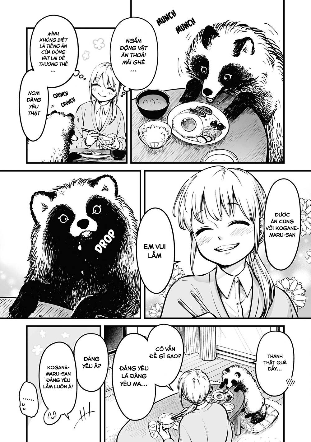 tanuki/4