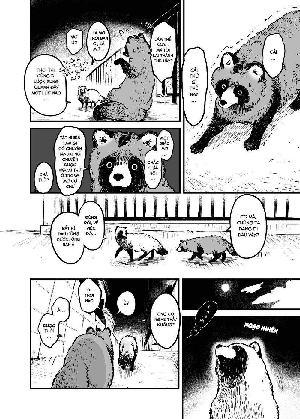 tanuki/2