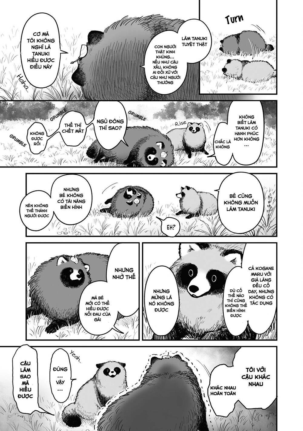 tanuki/5