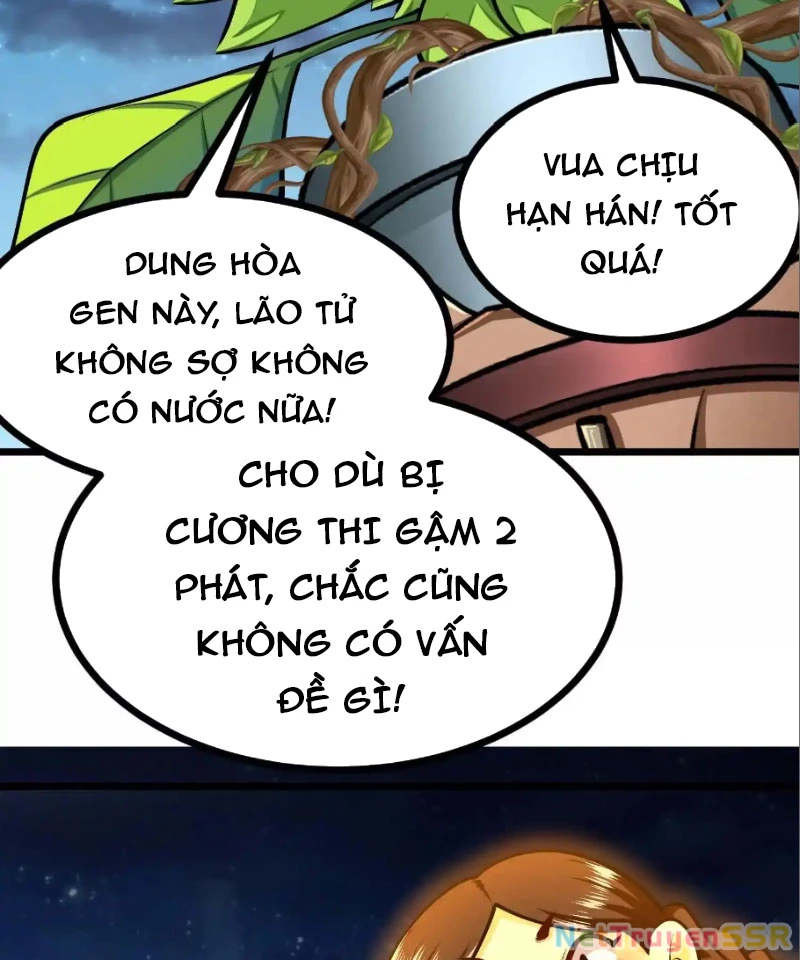 thon-phe-di-dai-chuy-hoa/53