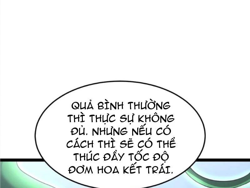 toan-cau-bang-phong-ta-che-tao-phong-an-toan-tai-tan-the/2