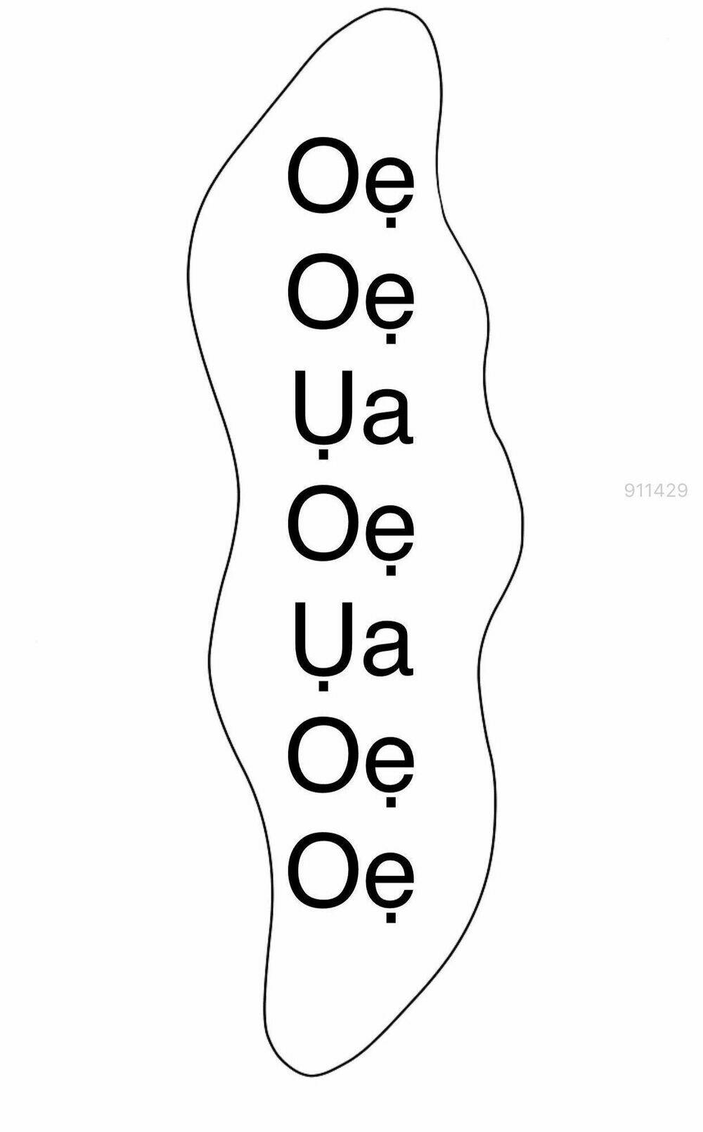 toi-ket-hon-cung-antifan/20