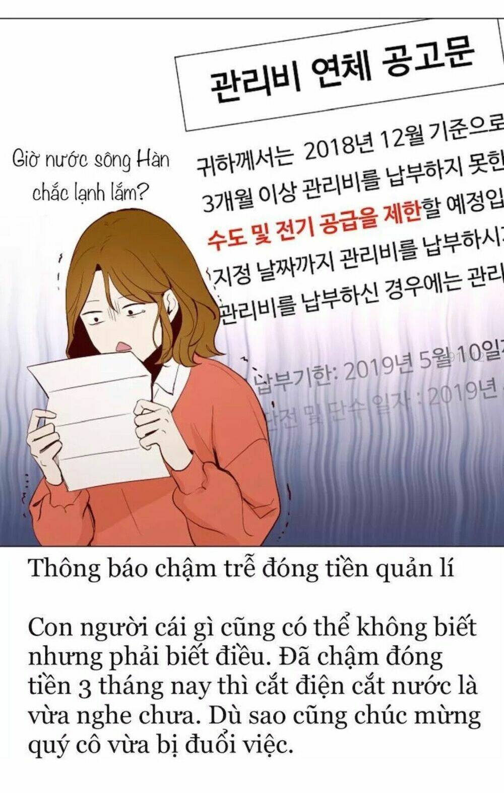 toi-ket-hon-cung-antifan/3