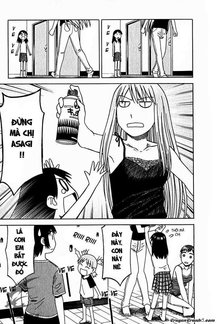 yotsubato/28